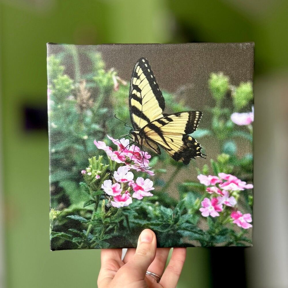 Charming Butterfly On Flower Canvas Wrapped Wall Sign Nature Decor
